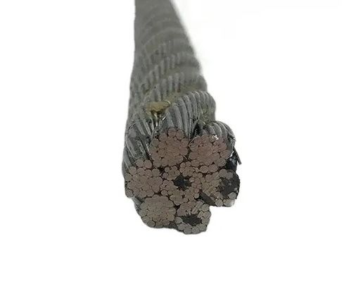 ราคาดี ลวดสลิงสแตนเลสเกรด 10 มม. พร้อมโครงสร้าง 19x7 ชุบสังกะสี แข็งแรงทนทาน ออนไลน์