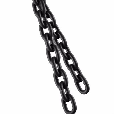 ราคาดี Professional Lifting Chain for Safe and Precise Weight Lifting Applications ออนไลน์