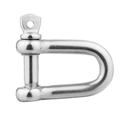 ราคาดี General Industry Stainless Steel Chain Lifting D Shackle 304L 316L Rigging Hardware ออนไลน์